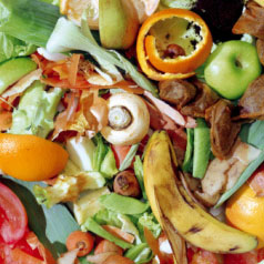Secaucus Environmental Department Considering Residential Food Waste Program
