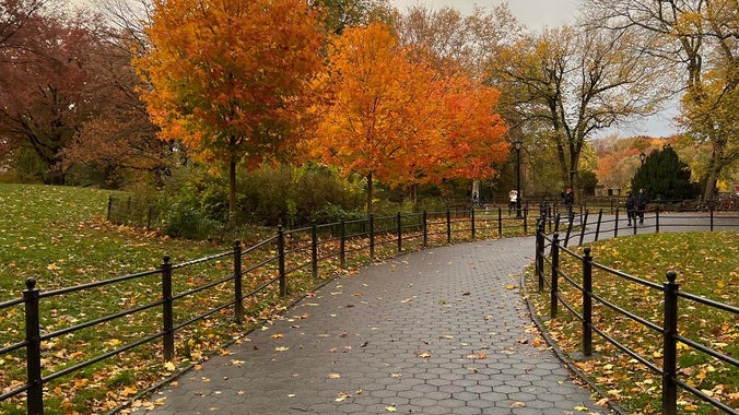 Apshawa Preserve Hike🍂