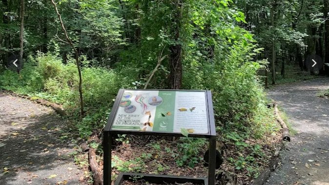 WEEKLY HIKE / LORRIMER NATURE SANCTUARY / Franklin Lakes