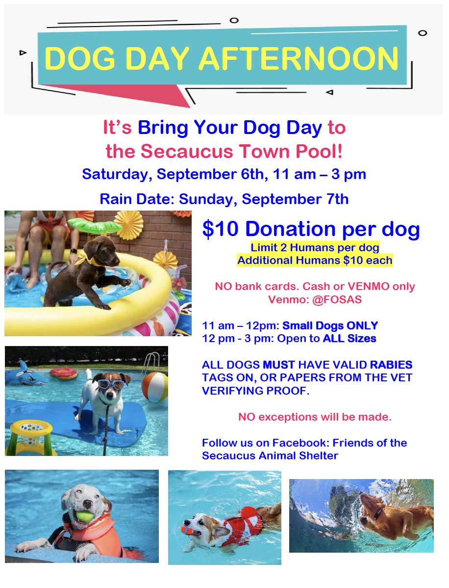 Dog Day at Secaucus Town Pool