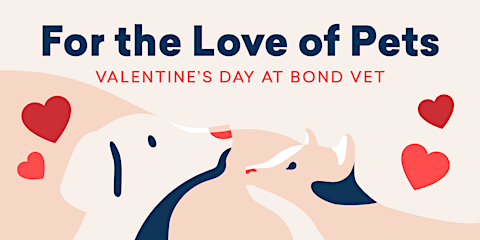 For the Love of Pets at Bond Vet Hoboken