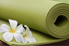 Gentle Yoga for Welllness