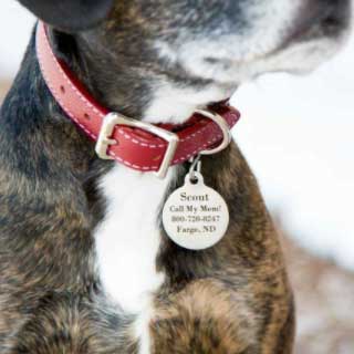 Health Department - 2021 Pet Tag Delivery
