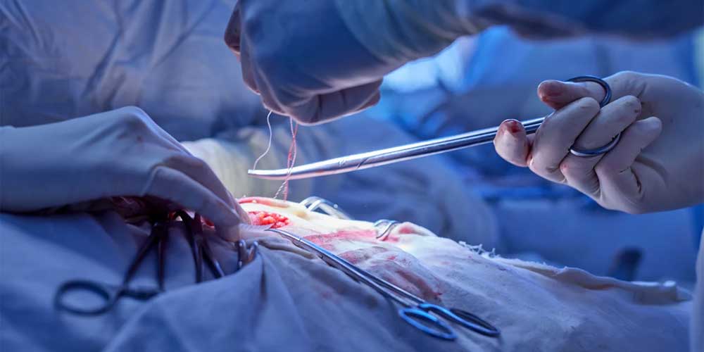 State Board Suspends License of Essex County Surgeon