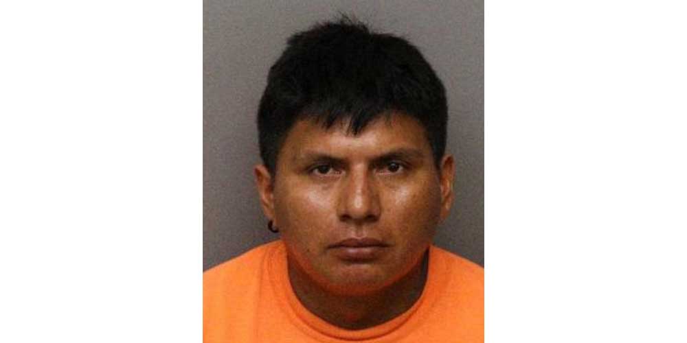 Driver Arrested in Fatal Hit-and-Run Accident in Newark