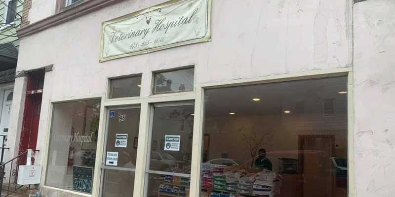 Newark Veterinarian Gives Up License Due to Animal Deaths