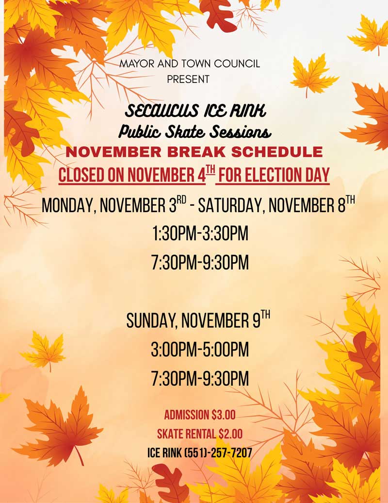 Public Skate Sessions - November Break Schedule