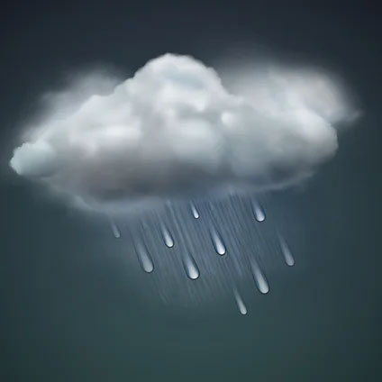 Light Rain Likely
