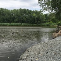 Secaucus Parks - Duck Pond